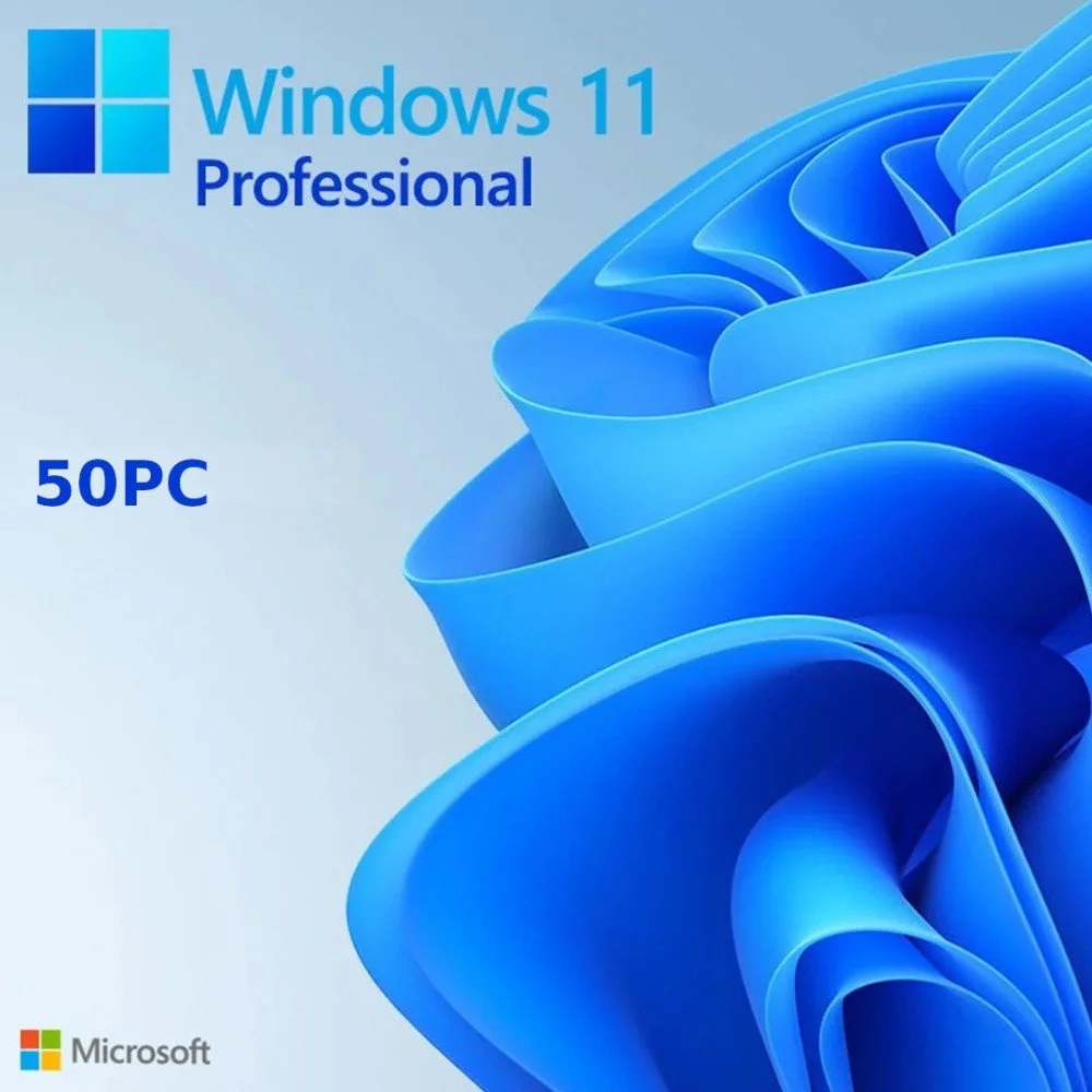 Windows 10 /11 Pro 50PC [Retail Online]